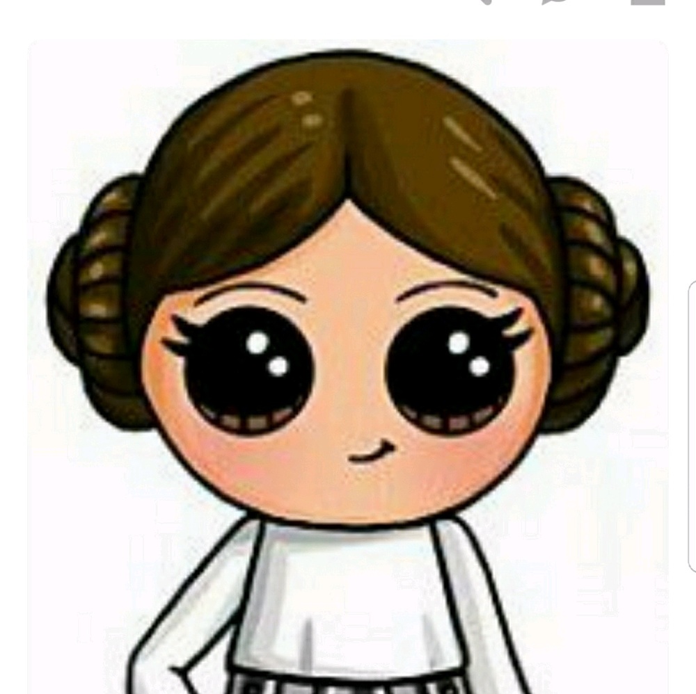 Meet your Posher, Diana